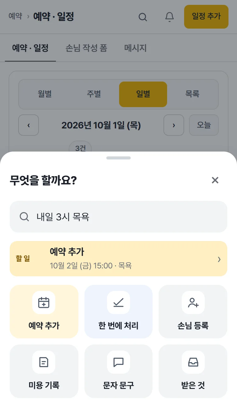 빠른 실행 창 — 내일 3시 목욕이라고 적으면 예약 추가
