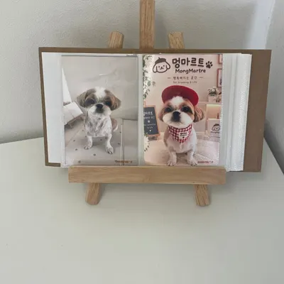 랜*이 믹스